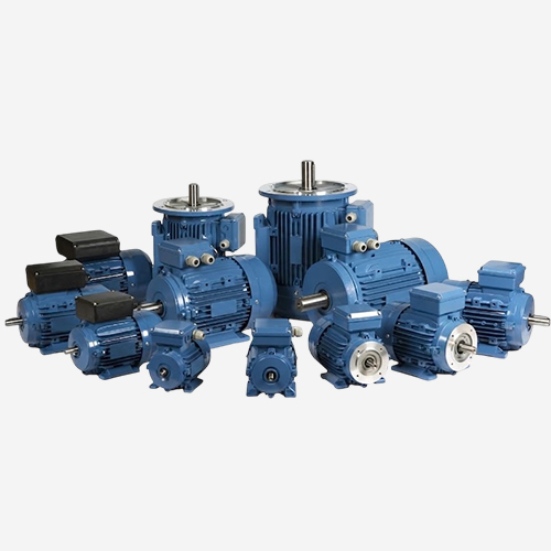 Customized Electric Motors