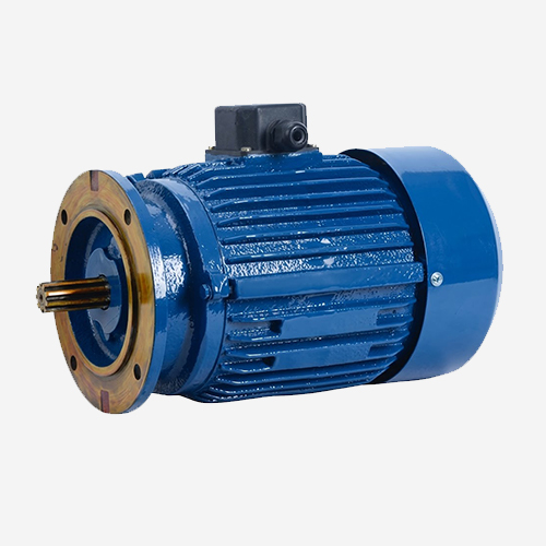 Multi Speed Electric Motors