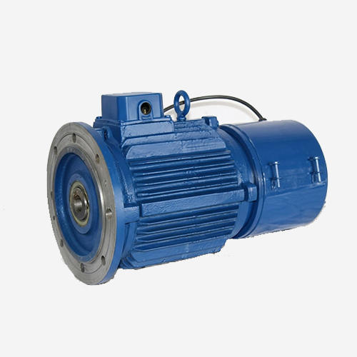 Crane Duty Electric motors