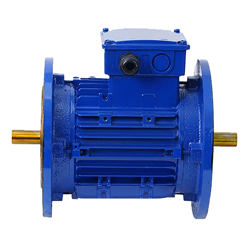 Double Side Shaft & Flange Electric Motors